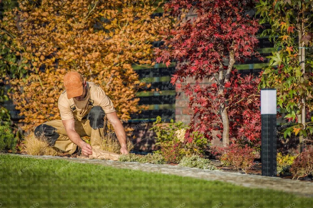 fall_season_garden_works_22247(2)